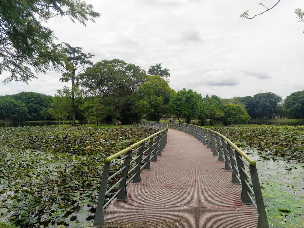 4 Lokasi Wajib Dikunjungi buat Pencinta Sukan Larian