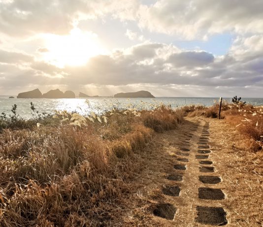 Walk The Jeju Olle And Explore Beauty Within It