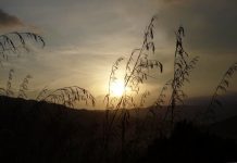 5 Sunscreen Myths You Should Stop Believing