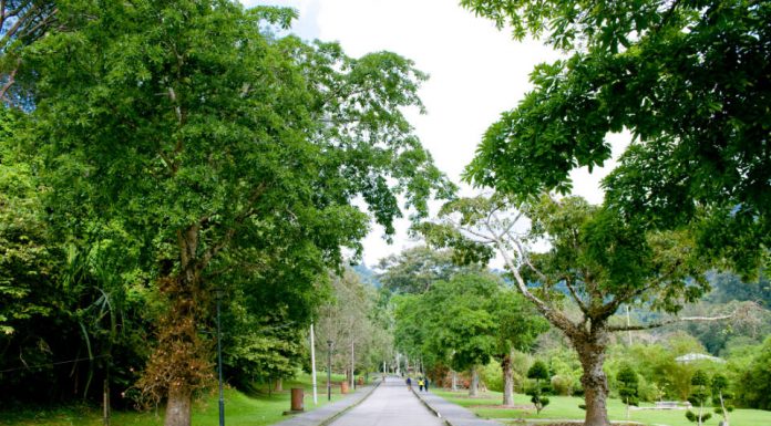 Great Spots To Run With Pals In Malaysia